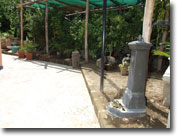 Viale e Fontana